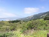 Mt Tamalpais State Park 005